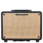 Ibanez T30U Troubadour Acoustic Guitar Amp