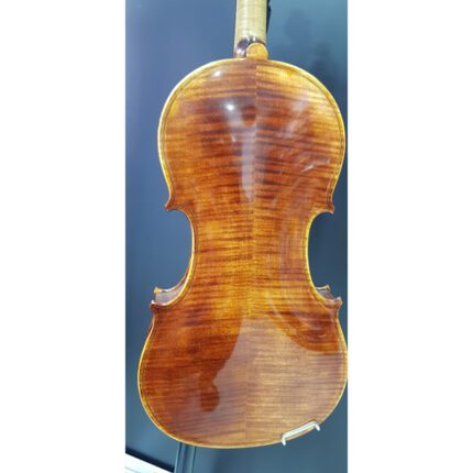 Hora V250 4/4 Academy Violin Inc. Bow And Case