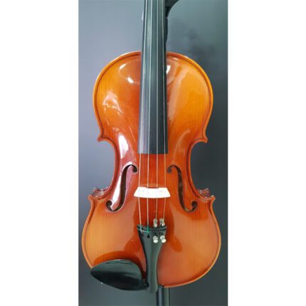 Hora V100 3/4 Violin Inc. Bow And Case