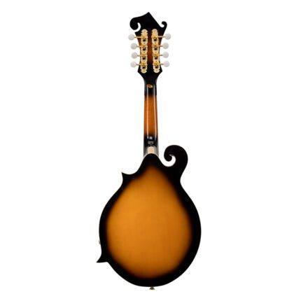 SOUNDSATION BMA-100ES Bluegrass Mandolin With Pick Ups