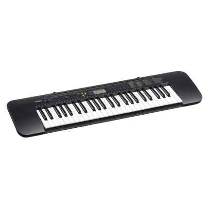 CASIO CTK-240 49 Standard Keys Keyboard