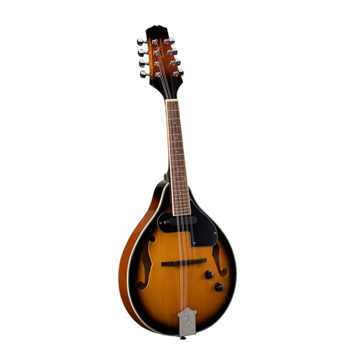 SOUNDSATION BMA-60E VS Electric Bluegrass Mandolin
