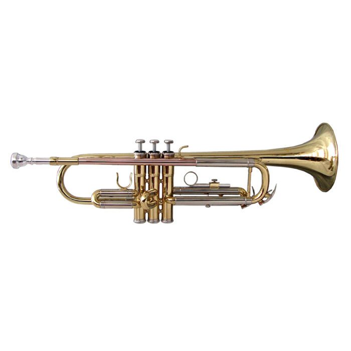 SOUNDSATION STPGD-10 GOLD TRUMPET S624S