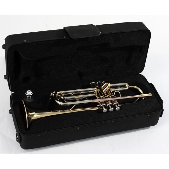 SOUNDSATION STPGD-10 GOLD TRUMPET S624S