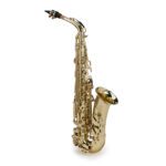 SOUNDSATION SALSX-20 ALTO SAXOPHONE  , S897S