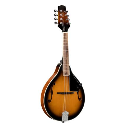 SOUNDSATION BMA-60 VS Bluegrass Mandolin
