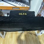 FEURICH Cover Black For Olya Digital Piano