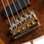 Cort Rithimic Jeff Berlin 5 String Bass Guitar Natural Gloss,exotic wood top,Bartolini