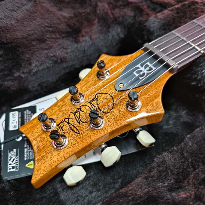 PRS 2025 DGT/BIRDS , 10 TOP FB, Faded Blue Jean Electric Guitar