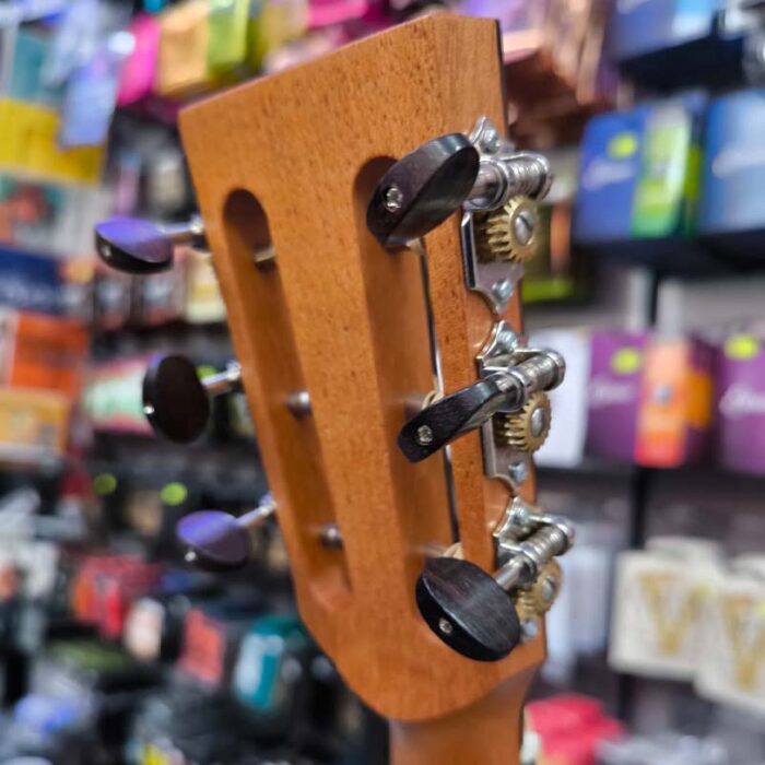 Lakewood Custom A-14 Auditorium AAA European spruce,el/acc guitar