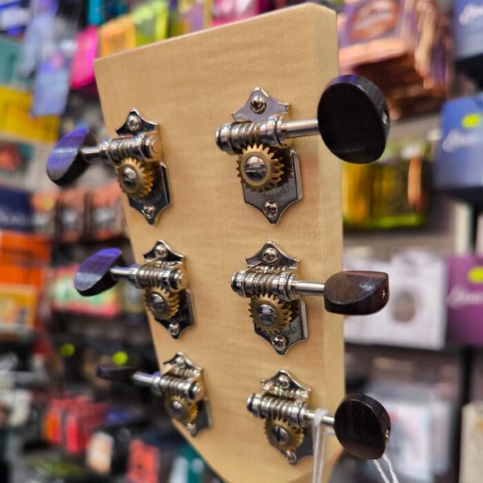 Lakewood custom  Auditorium A-31,indian rosewood el/acoustic guitar