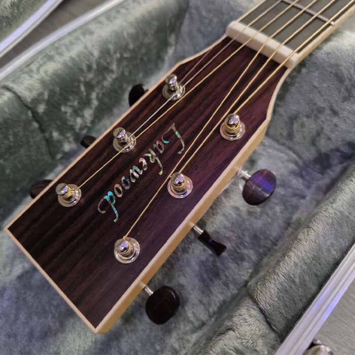 Lakewood custom  Auditorium A-31,indian rosewood el/acoustic guitar