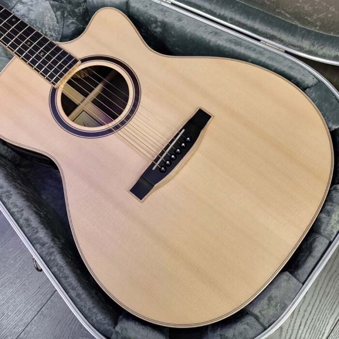 Lakewood custom  Auditorium A-31,indian rosewood el/acoustic guitar