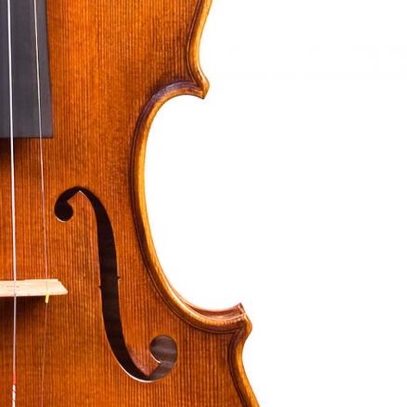 Tononi VN300 Set 4/4 All Solid , Carnone Carbon Bow, Viotti Case, Germany