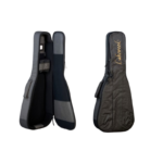 LAKEWOOD  SUNSET custom incl. LR Baggs element stagepro , gigbag