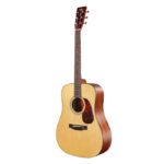 TYMA TD-18G EL/ ACOUSTIC GUITAR,WITH CASE, FISHMAN SONITONE GT2