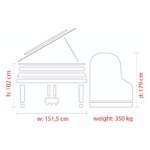 FEURICH MOD.179-DYNAMIC II BLACK COLOR -BRASS