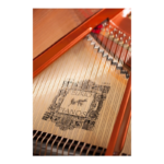 FEURICH MOD.179-DYNAMIC II BLACK COLOR -BRASS