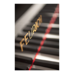 FEURICH MOD.179-DYNAMIC II BLACK COLOR -BRASS