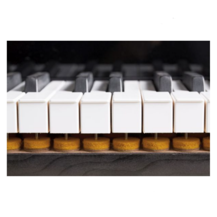 FEURICH MOD.179-DYNAMIC II WALNUT SATIN COLOR -BRASS