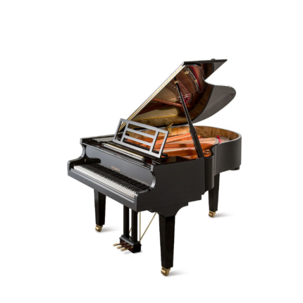 FEURICH MOD.179-DYNAMIC II BLACK COLOR -BRASS