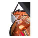 FEURICH MOD.179-DYNAMIC II BLACK COLOR -BRASS