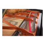 FEURICH MOD.179-DYNAMIC II BLACK COLOR -BRASS