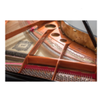 FEURICH MOD.179-DYNAMIC II BLACK COLOR -BRASS