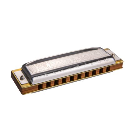 HOHNER BLUES HARP MS20 F M533066