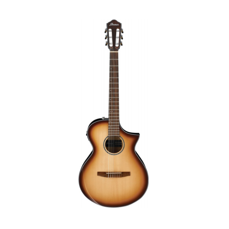 IBANEZ EL.ACOUSTIC GUITAR AEWC300NNNB