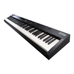 Roland RD-08 Stage Piano Weighted 88-key keyboard with Ivory Feel PHA-4 standard Roland RD-08 Stage Piano Weighted 88-key keyboard with Ivory Feel PHA-4 standard